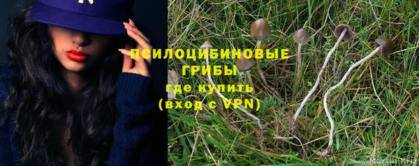 дживик Горнозаводск