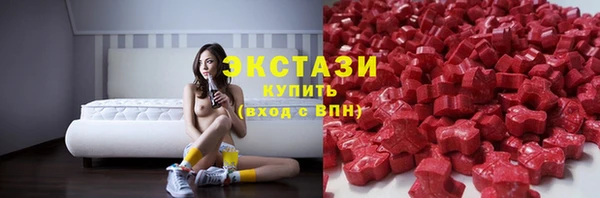 дживик Сясьстрой