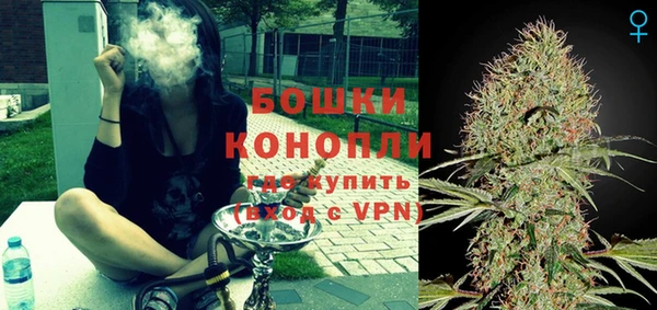 дживик Горнозаводск