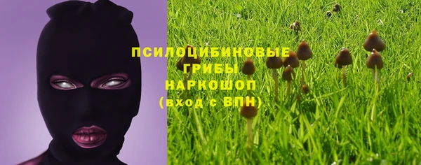 эйфоретик Горно-Алтайск