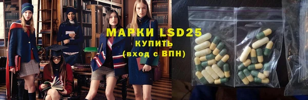 дживик Горнозаводск